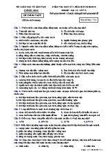 Đề kiểm tra học kì I môn Địa lý Lớp 12 - Mã đề 711 - Năm học 2018-2019 - Sở giáo dục và đào tạo Quảng Nam